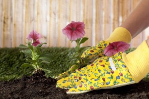 Planting brightly colored flowers, 8 Easy Yard Care Tips to Help Sell Your Home