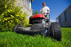 Maintain your lawn, 8 Easy Yard Care Tips to Help Sell Your Home