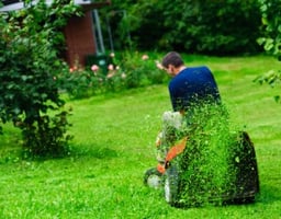 mulch your lawn clippings