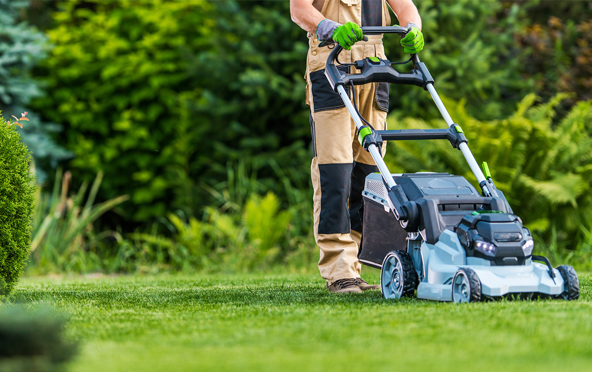 professional-lawn-care-services